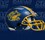 FVSU Helmet