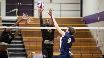 Tigers Sweep Kentucky State