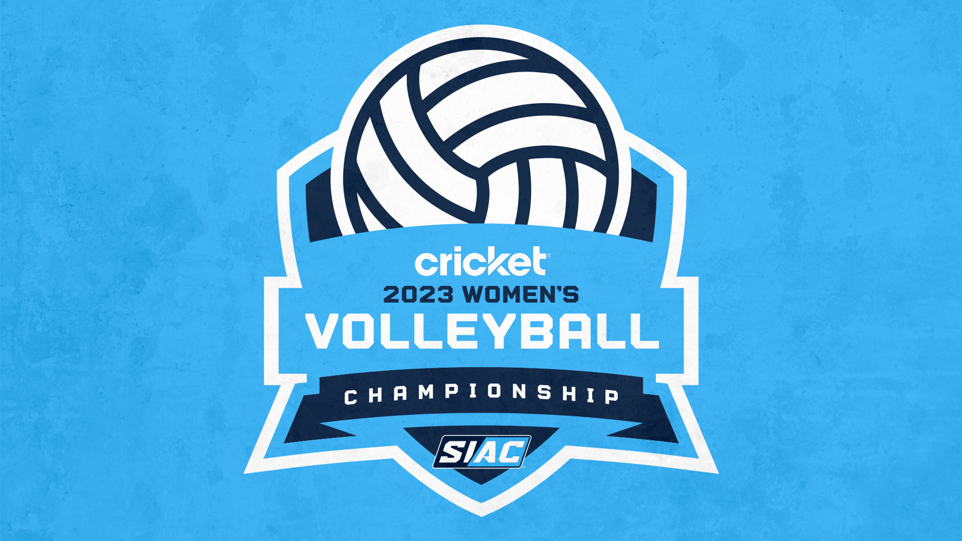 Championship volleyball deals